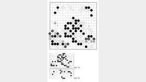 [바둑]제57기 국수전… 실착 96