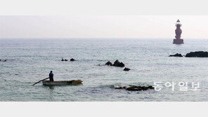 [포토 에세이]배에 가득 미역을 싣고…