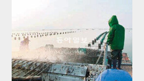 농약 뿌린 김 1900t 유통…유해성 누구 말이 맞아?