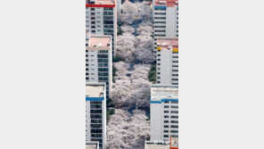 [포토 에세이]하늘색 아파트 하얀 물 들겠네