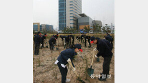 朴정부 첫 ‘녹색통일 나무’ 北으로