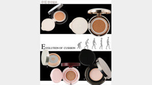 [우먼 동아일보]  Evolution of  Cushion