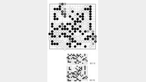 [바둑]제57기 국수전… 실착 185