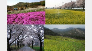 봄꽃 휴양마을 10선, 주말 나들이 장소로 ‘안성맞춤’