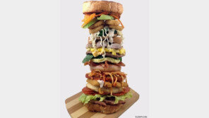 [지금 SNS에서는]타워형 샌드위치 사진