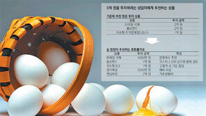 [Money&Life]브라질 국채 소액만 투자… 롱숏펀드, 강세장 땐 환매