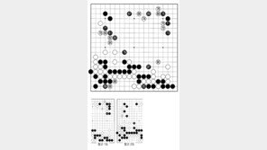 [바둑]제57기 국수전… 완착 79