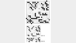 [바둑]제57기 국수전… 한 줄 차이 패착 148