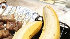 바나나 전염병, “바나나, 지구상에서 사라질 위험”…인체에 미치는 영향은?