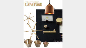 [우먼 동아일보] 나이들수록 따뜻해지는 그를 닮았다~ Copper Power