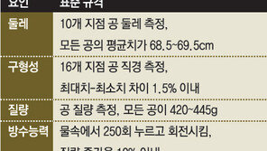 [사커＆사이언스] ‘6조각’ 브라주카 미세돌기의 비밀