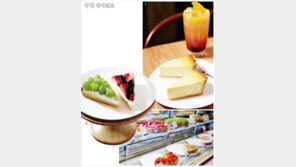 [우먼 동아일보] 달콤한 타르트 전문점~ 듀크렘… 맛집 탐험가 김지영의 테이스티 맵