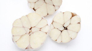 현대인들 질병의 탁월한 효능을 자랑하는 ‘마늘’