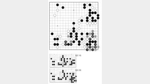 [바둑]제57기 국수전… 급소 98