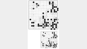 [바둑]제57기 국수전… 회심의 팻감 129