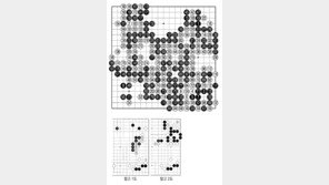 [바둑]제57기 국수전 이세돌, 추격의 발판 마련