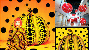 [우먼 동아일보] ‘쿠사마 야요이, A Dream I Dreamed’전을 만나다