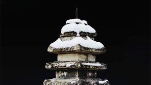 [한국의 석탑]<6>신륵사 다층석탑 (보물 제225호·조선시대)