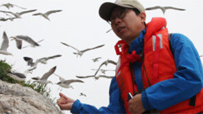 권영수씨 “괭이갈매기 아빠됐어요”