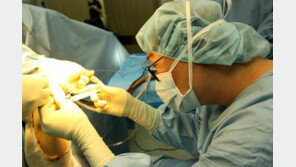 [헬스&뷰티]골반서 혈액 채취해 아픈 무릎에… 손상된 물렁뼈 정상으로 되돌려