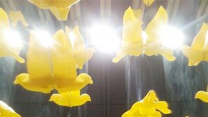 [갤럭시 S5로 찍는 포토에세이]프린터로 만든 노란 새들