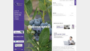 꽃뫼블루베리농장 쇼핑몰 땡큐베리