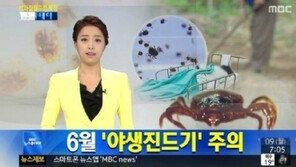 야생진드기 주의, 6월에 가장 활발… 치사율 45.7%
