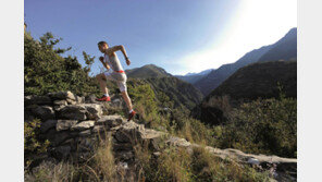 [헬스&뷰티]‘달려라 즐겨라 교감하라’ 자연 벗삼아 힐링러닝 GO!