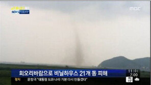 일산 토네이도(용오름) 발생…80세 노인 부상 당하며 ‘피해속출’