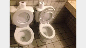 [황당 월드컵] 뚱보 좌석 첫 등장…비만 증명서 필수