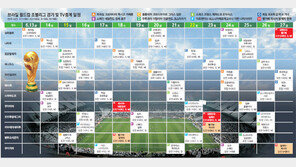 [World Cup Brasil 2014 D-1]새벽 깨울 함성!