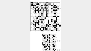 [바둑]제57기 국수전… 실착 214
