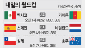 [World Cup Brasil 2014]후회없이, 대~한민국!