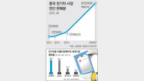 LG화학, 中 1-3-4위 車업체에 배터리 공급