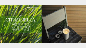 J.T CANDLE 신규 여름향 시트로넬라 출시!