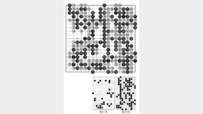 [바둑]제58기 국수전… 새내기 신진서, 본선 진출