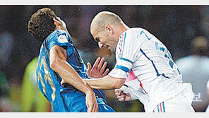 [브라질 2014]오늘의 인물, 지네딘 지단