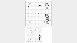[바둑]제58기 국수전… 간명한 정석