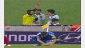 일본 그리스, 경고 누적으로 퇴장당한 카추라니스, 알고보니 ‘잔디남’