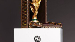 [와글와글 월드컵] 월드컵 우승트로피 케이스도 명품