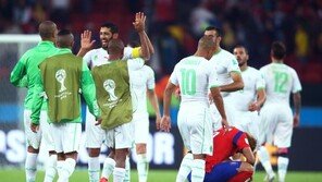 ‘최선 다한’ 손흥민 눈물, 소피앙 페굴리 위로