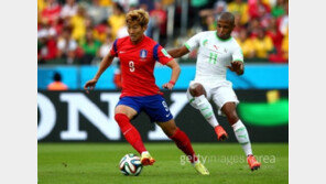 한국 벨기에 전, 벨기에 감독 “한국전서 주전 빼고 상대할 것”