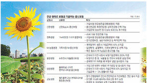 [Money&Life]연금도 받을 수 있는 종신보험, 노후대비 상품 대세 굳히기