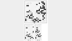 [바둑]제58기 국수전… 맥점 113