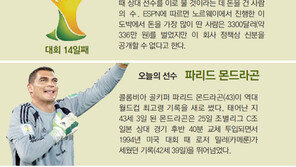 [World Cup Brasil 2014]대회 14일째