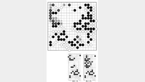 [바둑]제58기 국수전… 악수 143