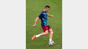 [고주(gozo)한 브라질] 폭탄머리·새싹머리… 헤어 월드컵 승자는?