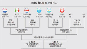 16강, 벌써 너를 만난다니…