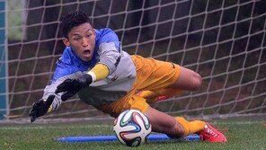 김승규 유효슛팅 7개 방어, 외신들 호평 “안전한 손(Safe hands)”