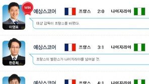 프랑스 나이지리아 전, 포그바 결승골…이영표 실책까지 예측
